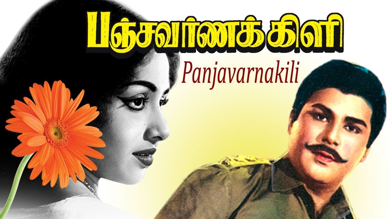 Pachavarna kili | R. Muthuraman, Jaishankar, K. R. Vijaya, Nagesh | Superhit Tamil Movie HD