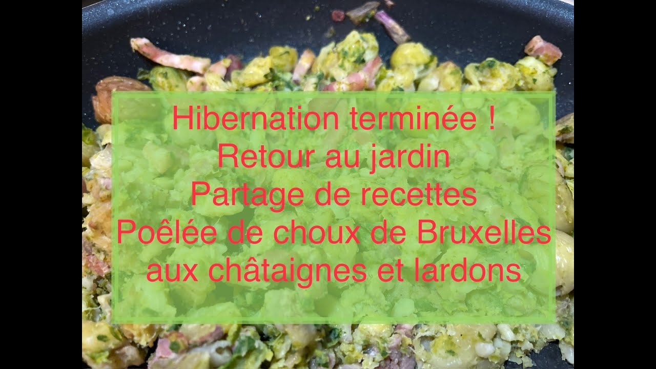 212 Janvier: sortie d'hibernation ! Recette poêlée de choux de Bruxelles et châtaignes