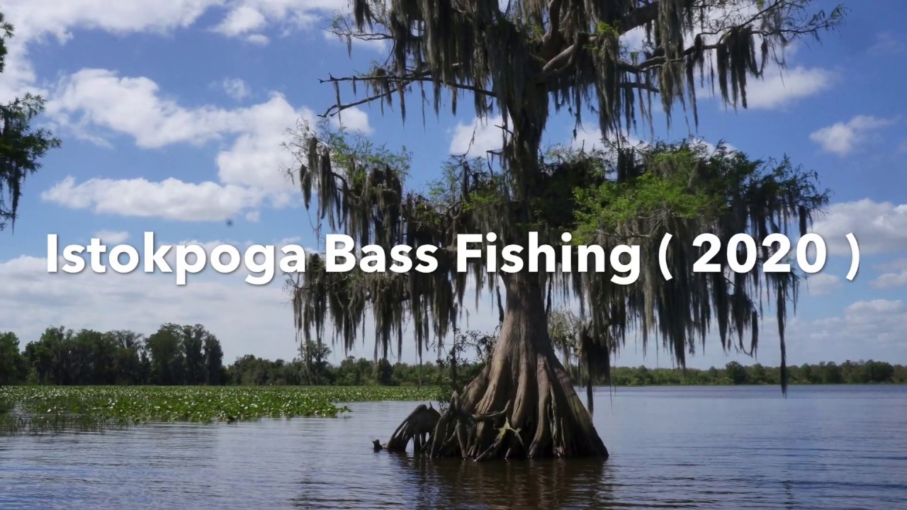 Istokpoga Bass Fishing ( 2020 )