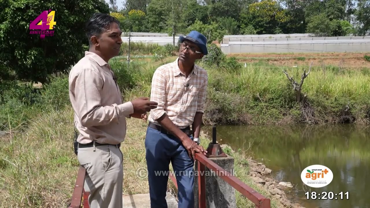 Mihikatha Dinawana | 2026-02-06 | RUpavahini