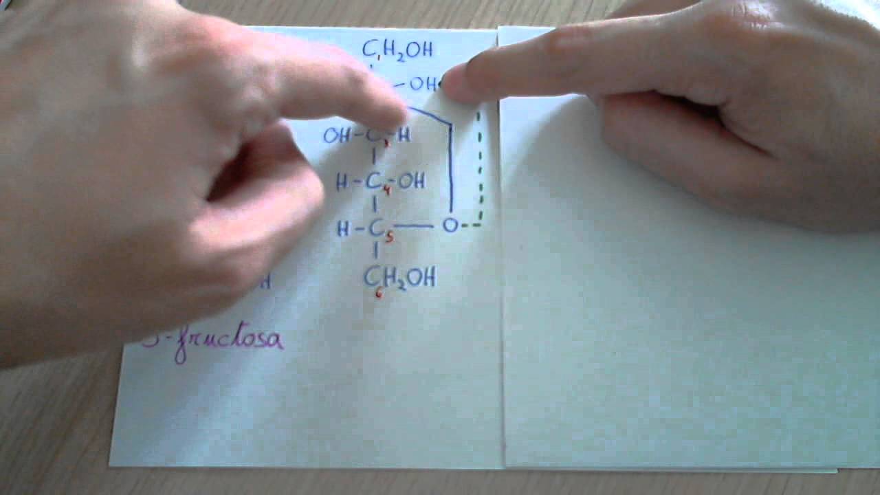 Ciclaci&oacute;n de la fructosa (cetohexosa)