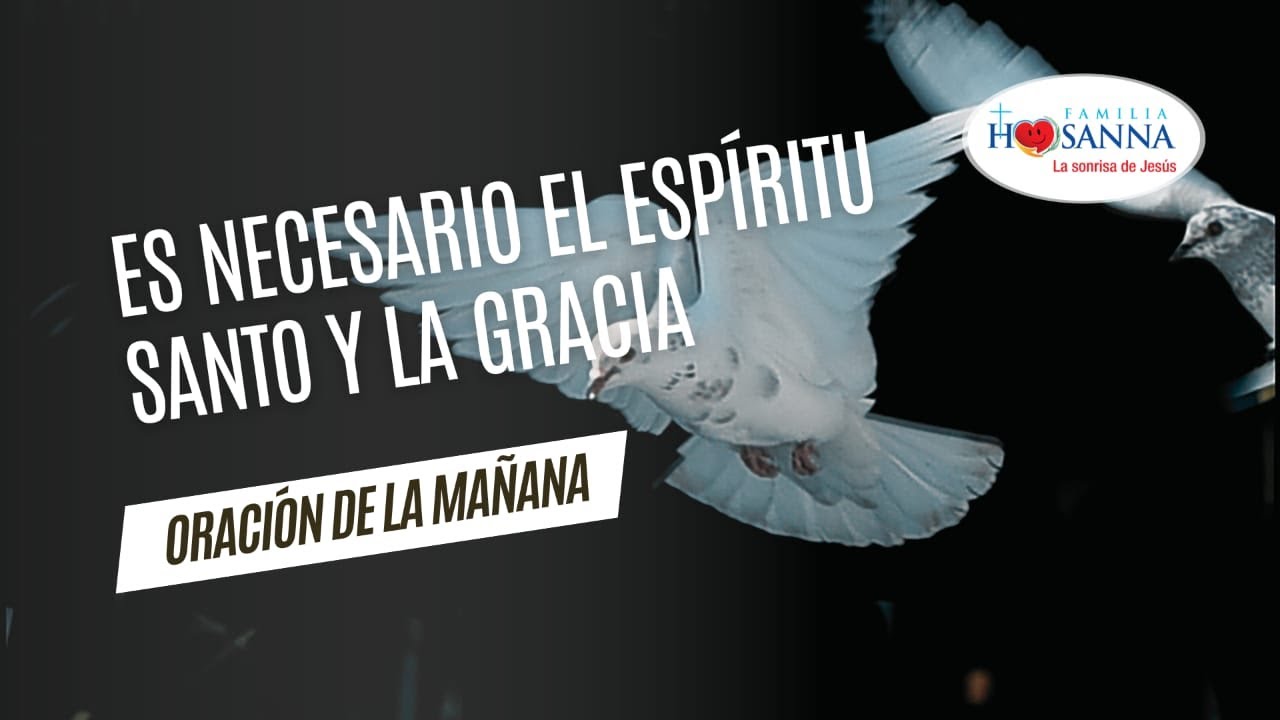 Es necesario el Espíritu Santo y la Gracia #Evangelio​DeHoy  Jueves 12 Diciembre 2024 #PadreJohn #FH