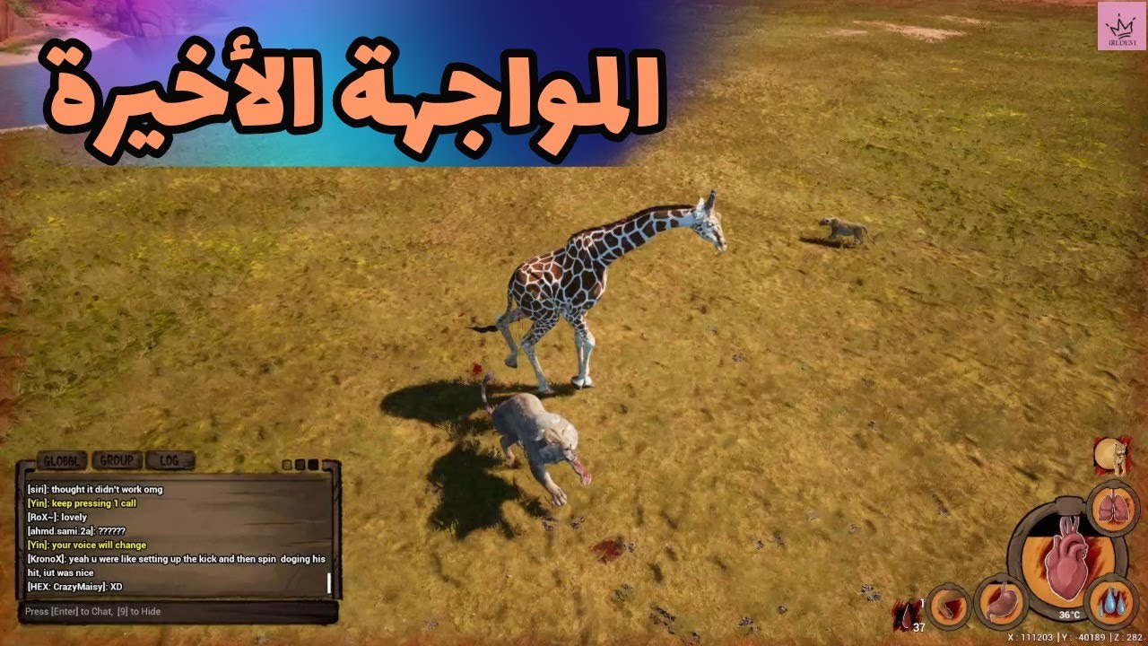 انيميليا سرفايفل حياة الزرافة #29  I المواجهة الأخيرة   Animalia Survival I