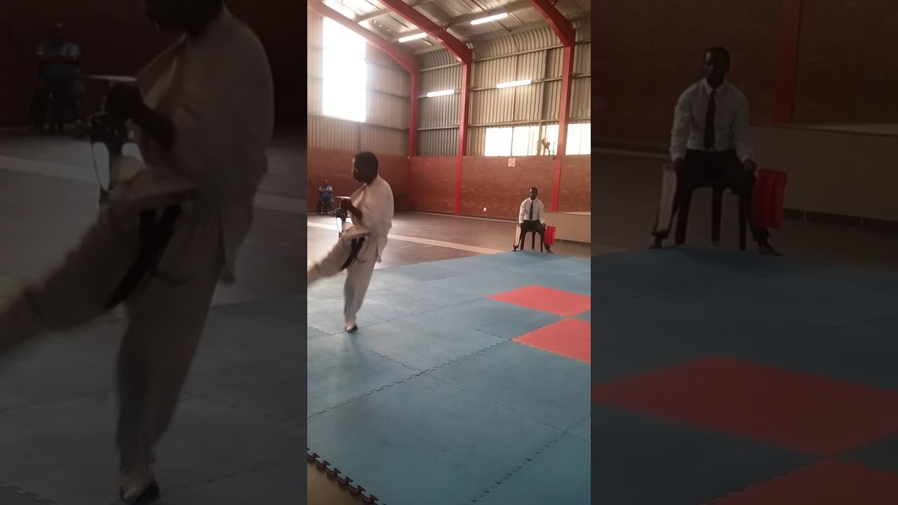 Young Lion dojo formed by seirmpai Mtshali (dragon and champ fight)
