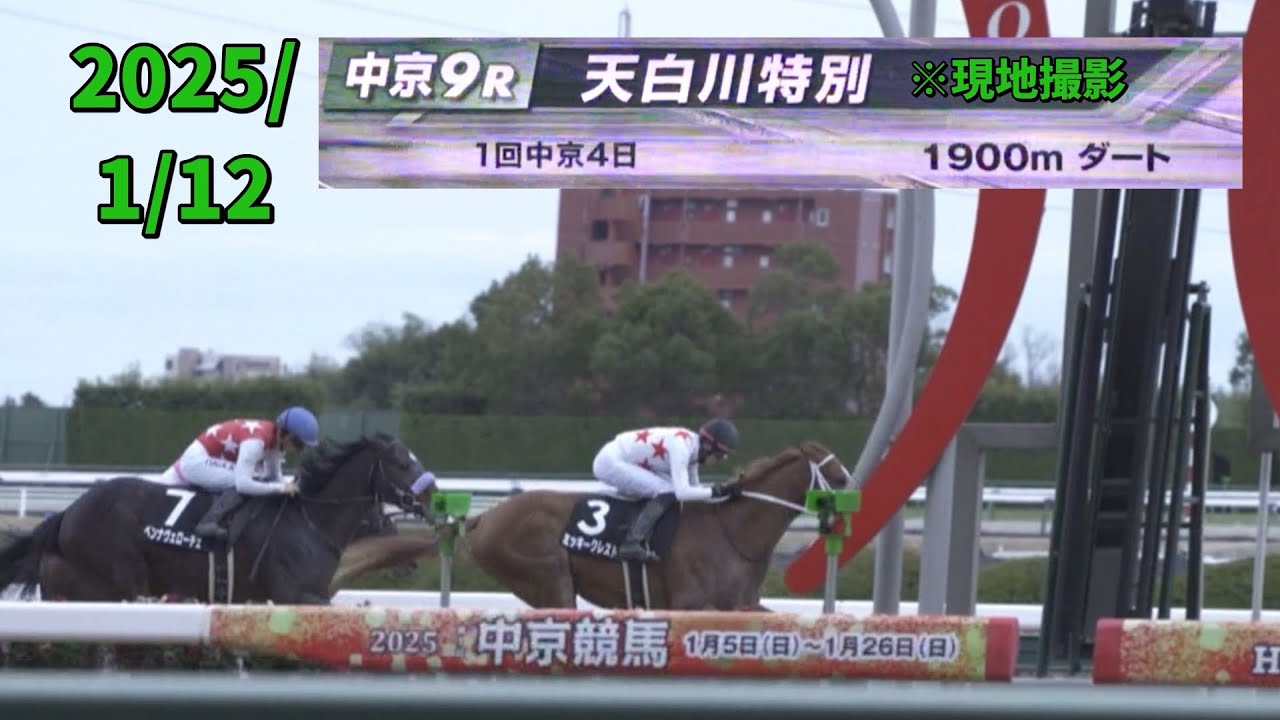 2025/1/12 中京9R 天白川特別 #ミッキークレスト #坂井瑠星 