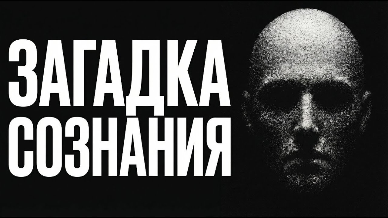 Ваша реальность — это галлюцинация. Доказательство за 60 минут