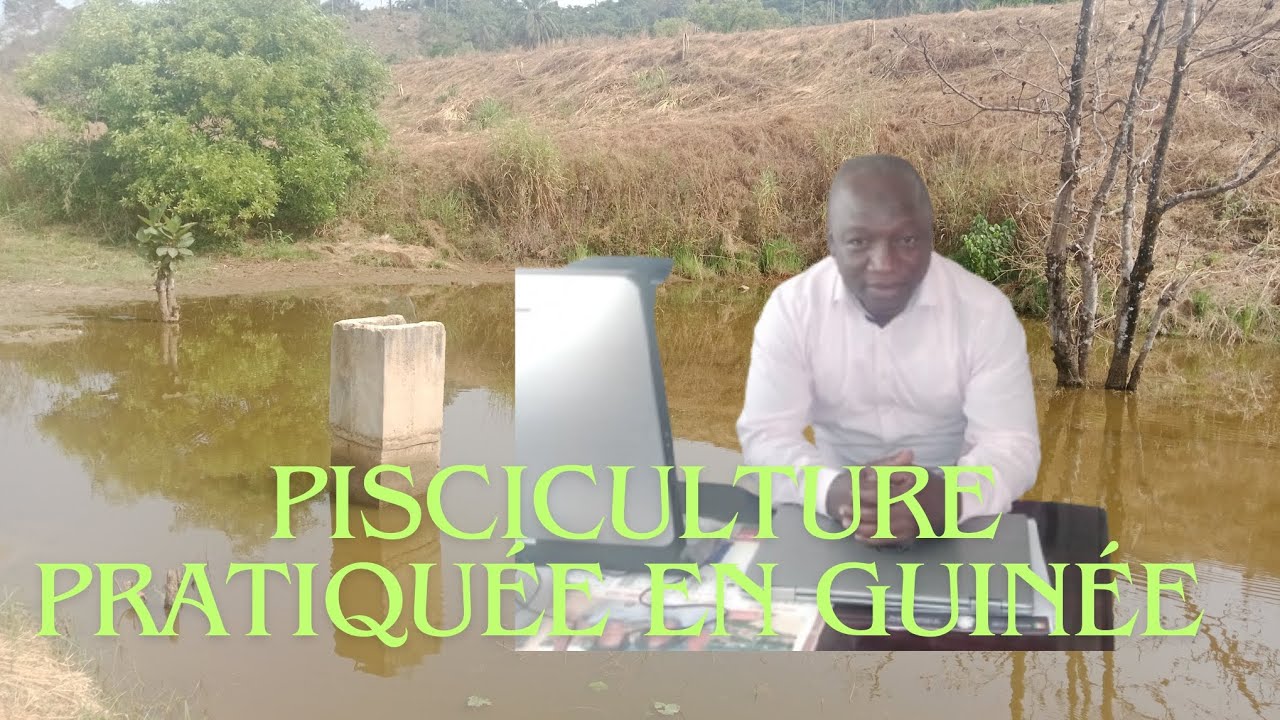 Pisciculture pratiquée en Guinée Forestière/Macenta/ interview du DPPEM