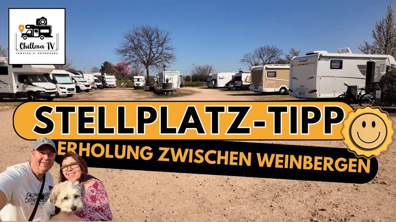 Wohnmobilstellplatz mitten in den Weinbergen 💯 Metzis Panoramablick in Ockenheim. 4K
