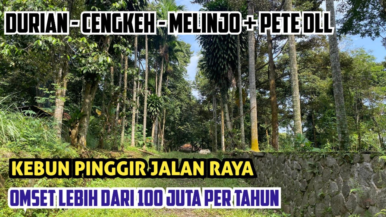TANAH KEBUN PRODUKTIF PINGGIR JALAN RAYA DI WANAYASA PURWAKARTA LUAS 7 HA SHM + AJB