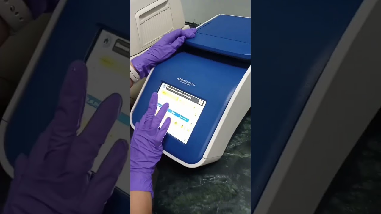 PCR TECHNIQUES WITH PCR ANALYSER @With ##Lab Technicians ## with me