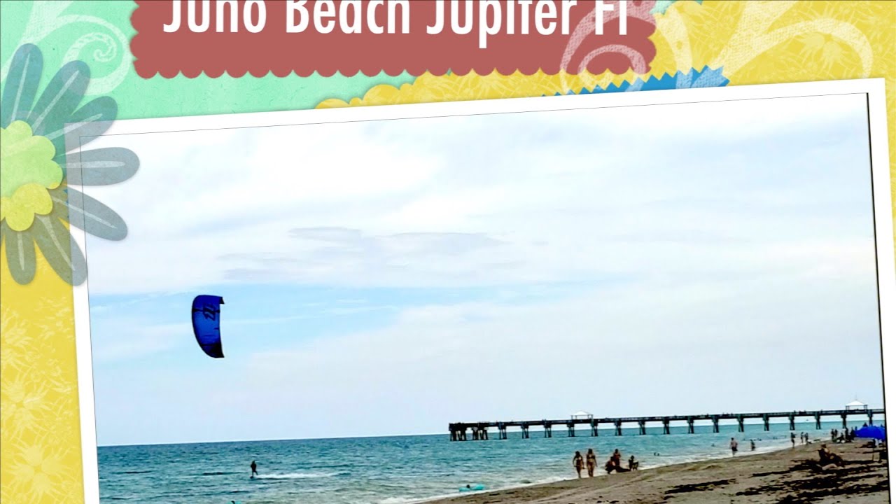 33rd Anniervsary Jupiter- Juno beach, dog beach