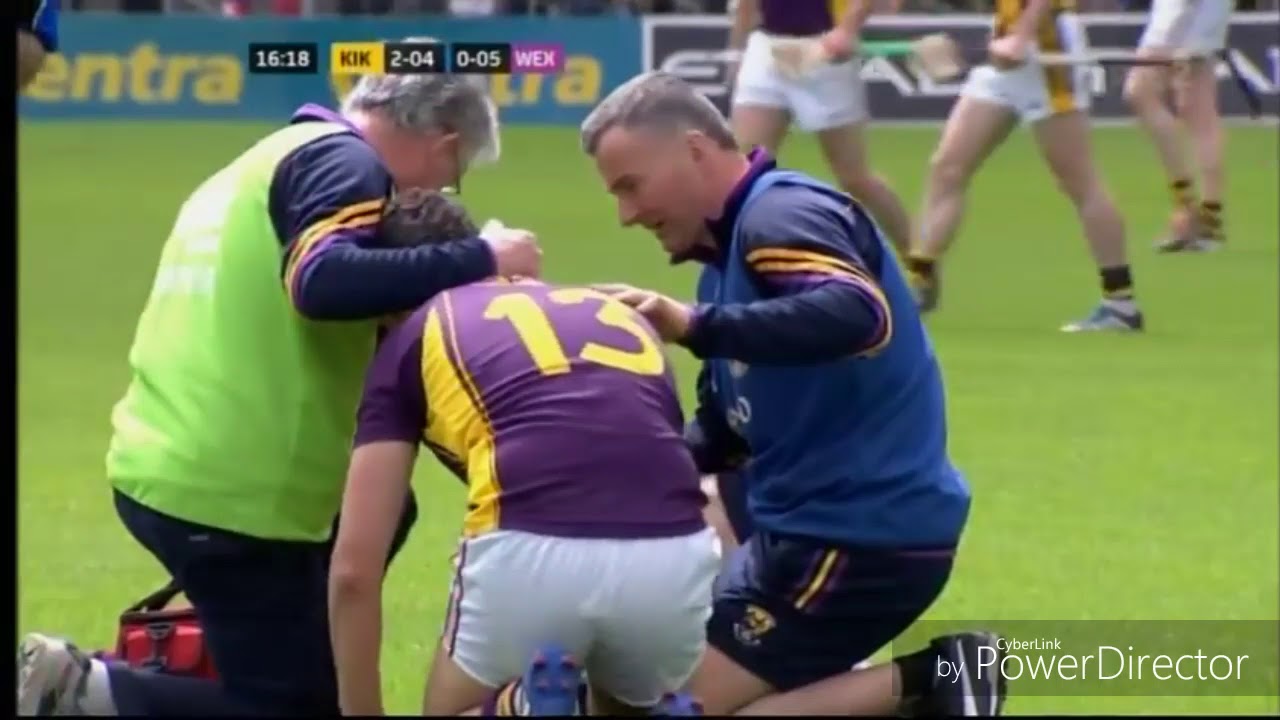 Wexford v Killkenny 2015 Leinster Hurling Championship