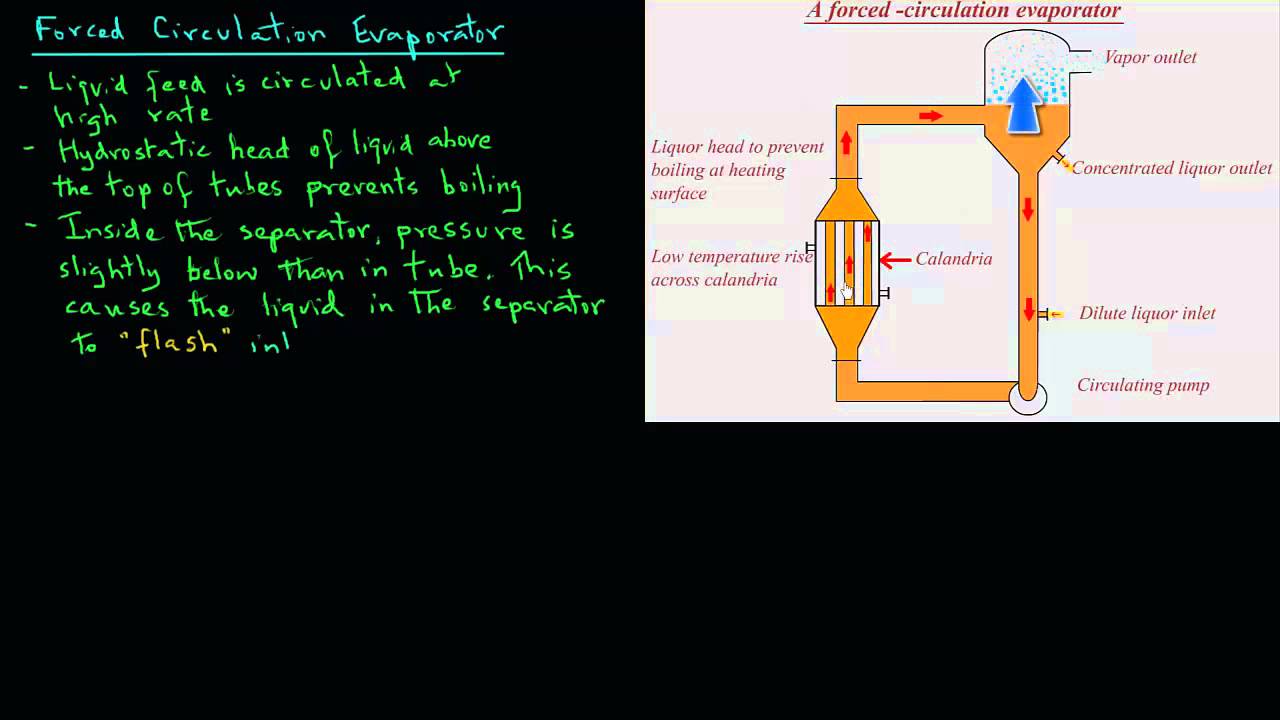 Forced Circulation Evaporator
