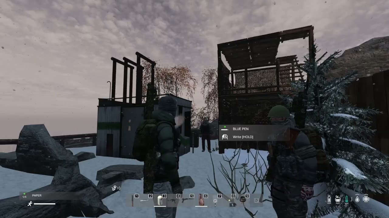 Castle Black Thorn / DayZ Underground