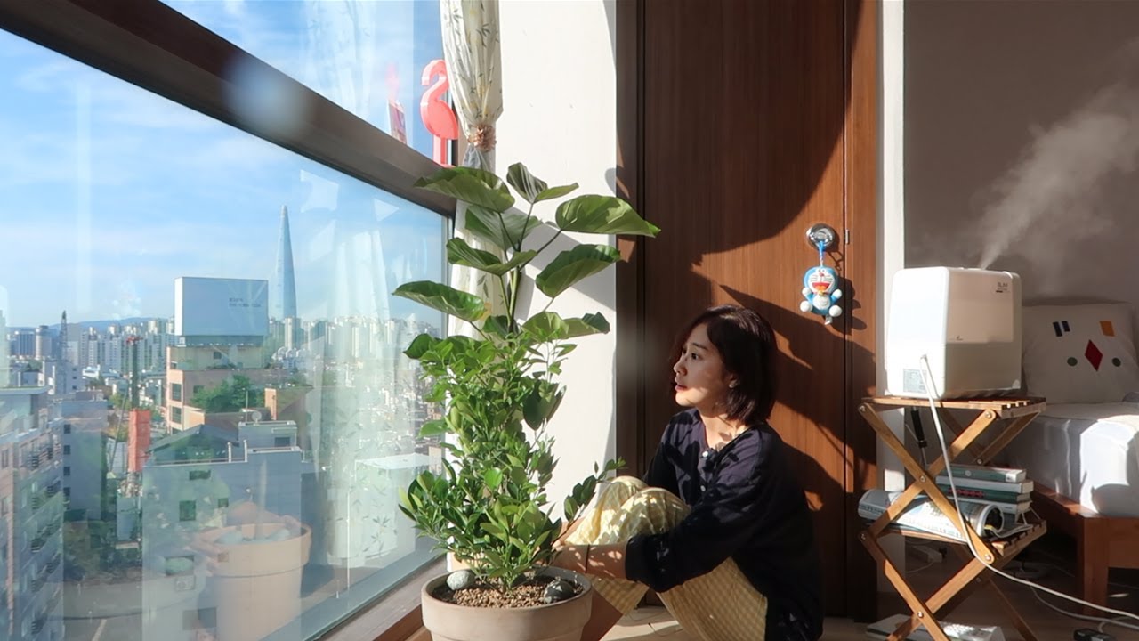 자취생의 휴일은 어떨까 vlogㅣ식물 온 날🌱