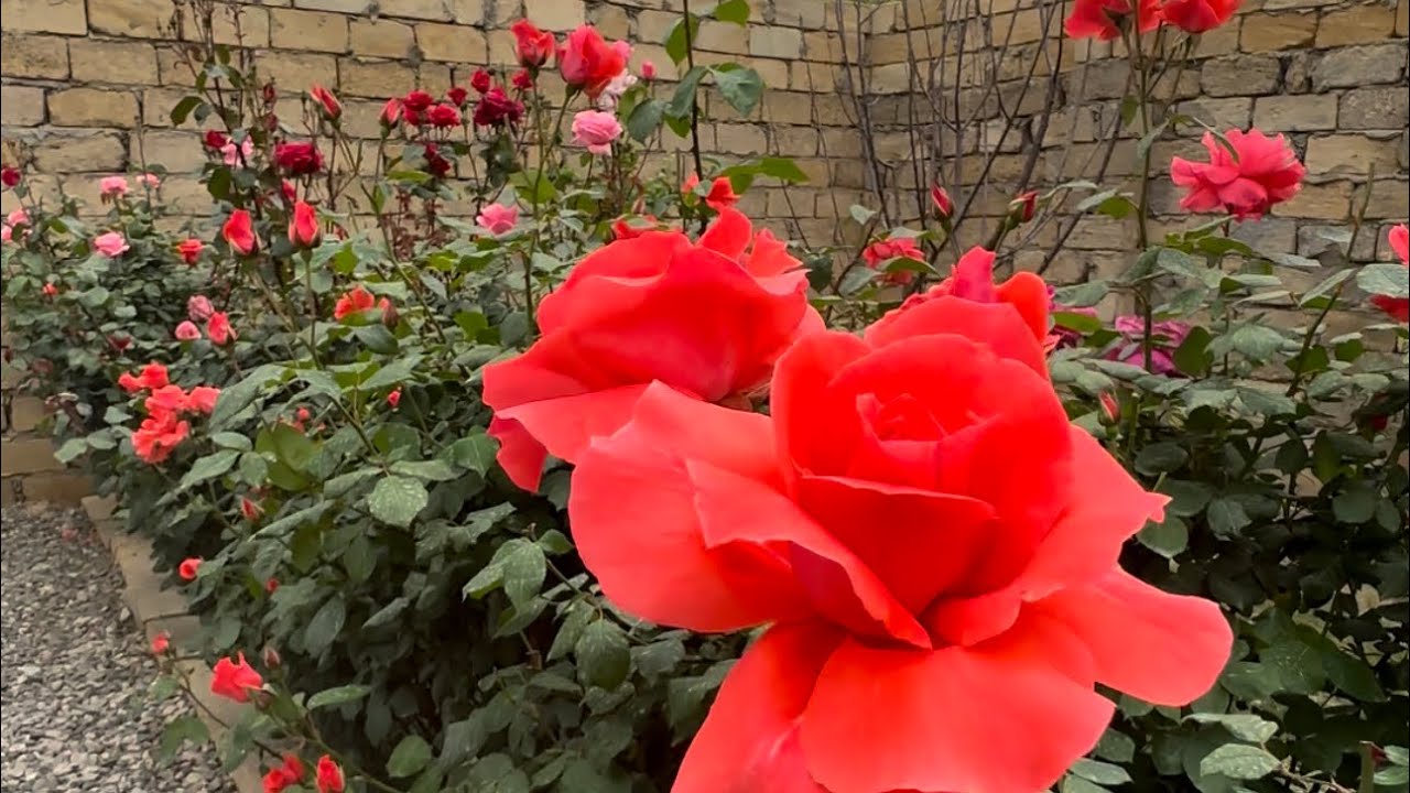 4 otaq Şəxsi tikili Sarayın mərkəzi küçəsində  Beton monolit həyət evi satılır. 75000 man 0508740416