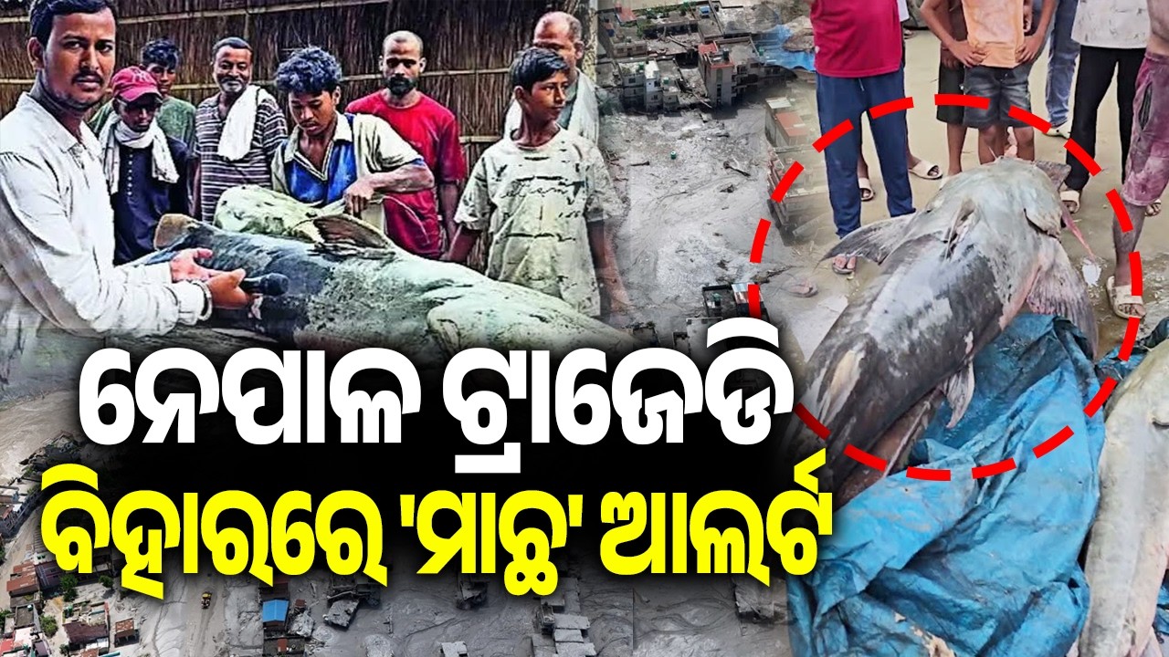 'Don't Eat Fish Caught From Floodwaters': Bihar On Alert After Nepal Tragedy | Kalinga TV