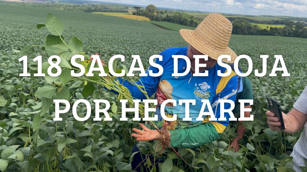 Visitei um CAMPEÃO DO CESB, em SOJA esses são 10 MANEJOS DIFERENTES utilizados..