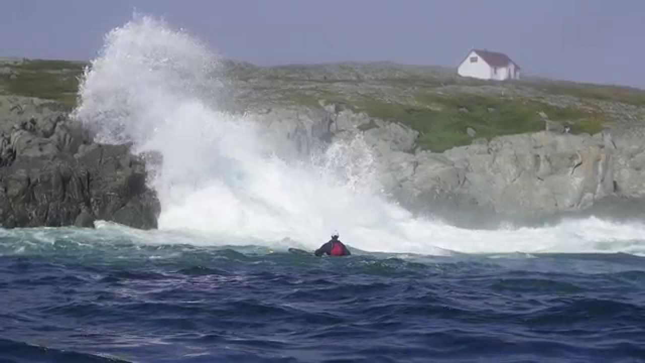 Kayaking with Whales in Newfoundland - Sea Kayaking Canada