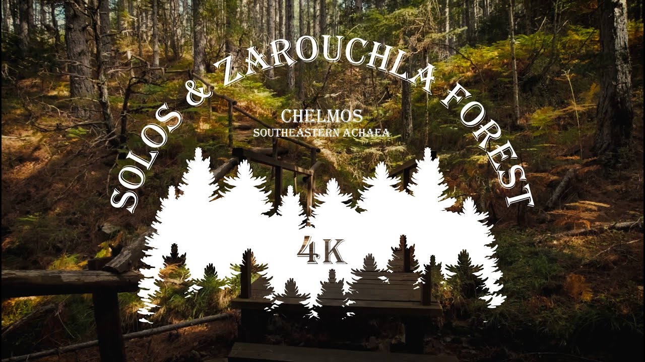 &Sigma;ό&lambda;&omicron;&sigmaf;, &Delta;ά&sigma;&omicron;&sigmaf; &Zeta;&alpha;&rho;&omicron;ύ&chi;&lambda;&alpha;&sigmaf;, &Chi;&epsilon;&lambda;&mu;ό&sigmaf; - Solos, Zarouchla forest, Chelmos, Greece, Relaxation