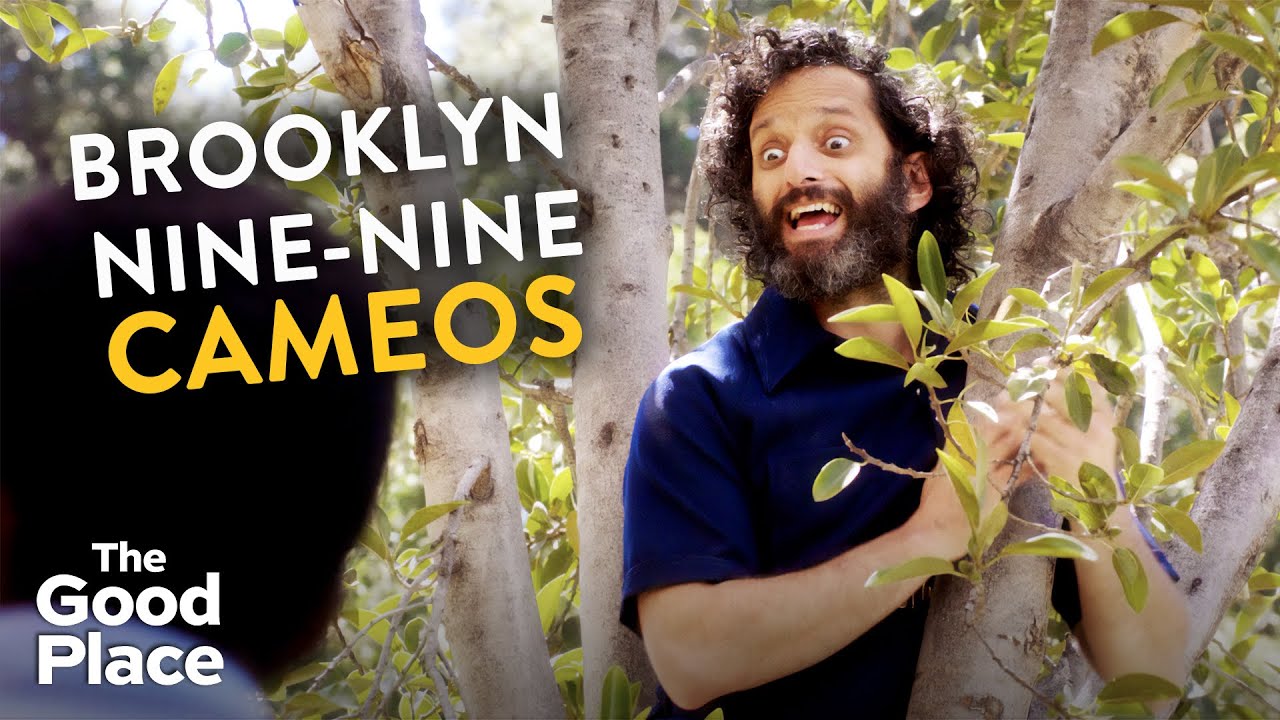 Brooklyn 99 Actors who also starred in The Good Place