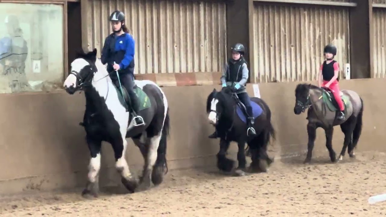 Bella Trotting (3) 07/03/26