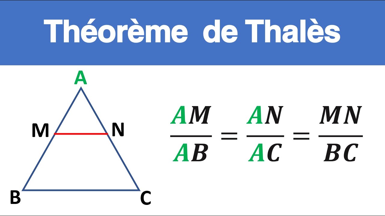 COURS: Appliquer Théorème de Thalès pour calculer une longueur - 3ème année collège - 3APIC Biof