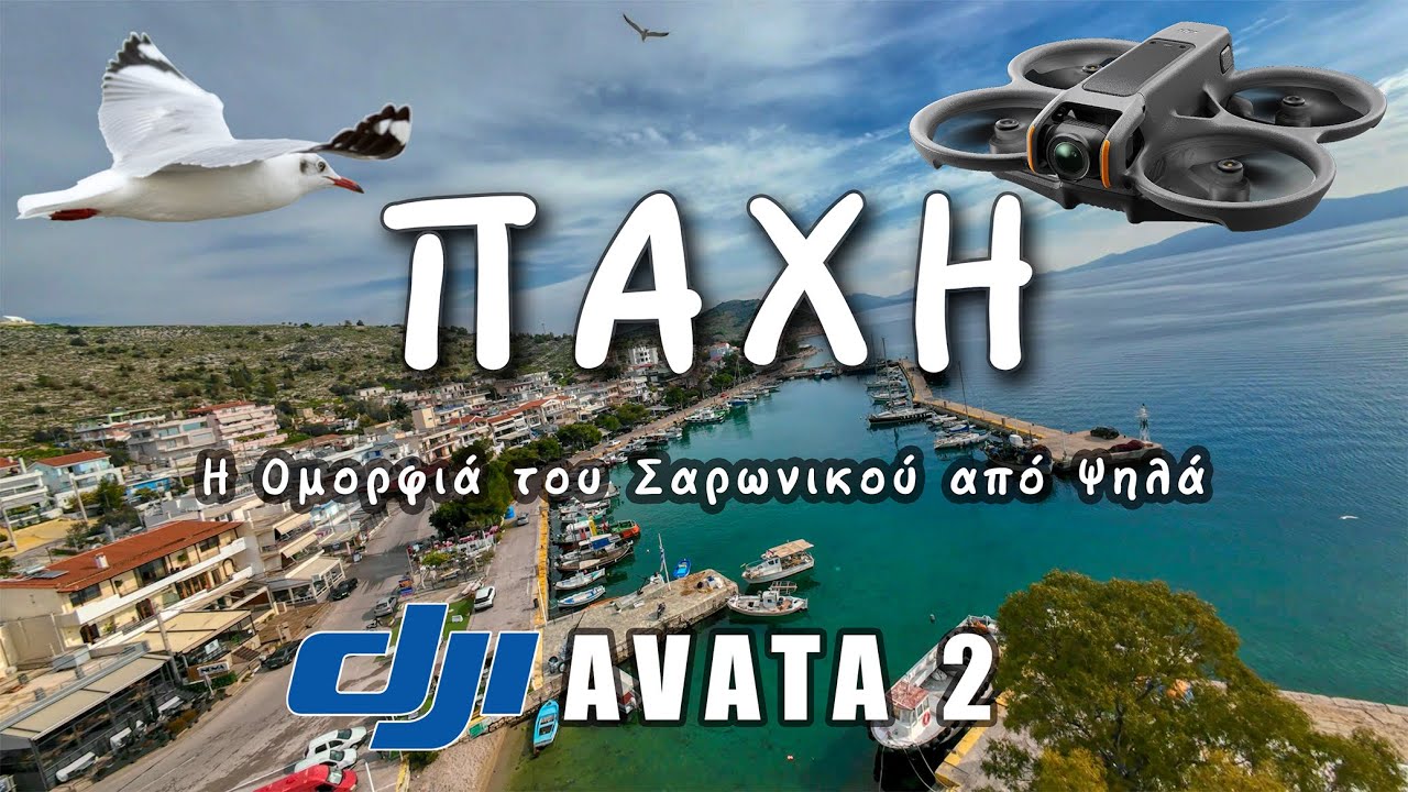 Πάχη Μεγάρων – Ο Κρυμμένος Παράδεισος του Σαρωνικού