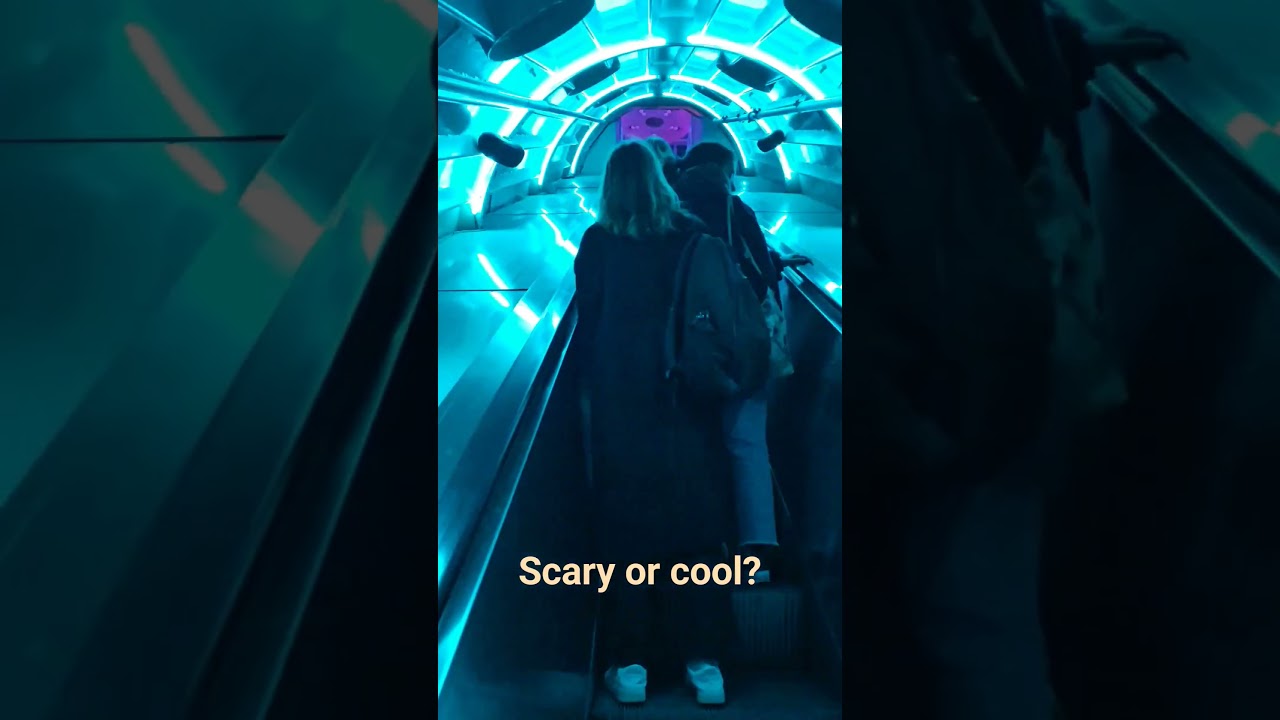 LED lights relaxing escalator experience 