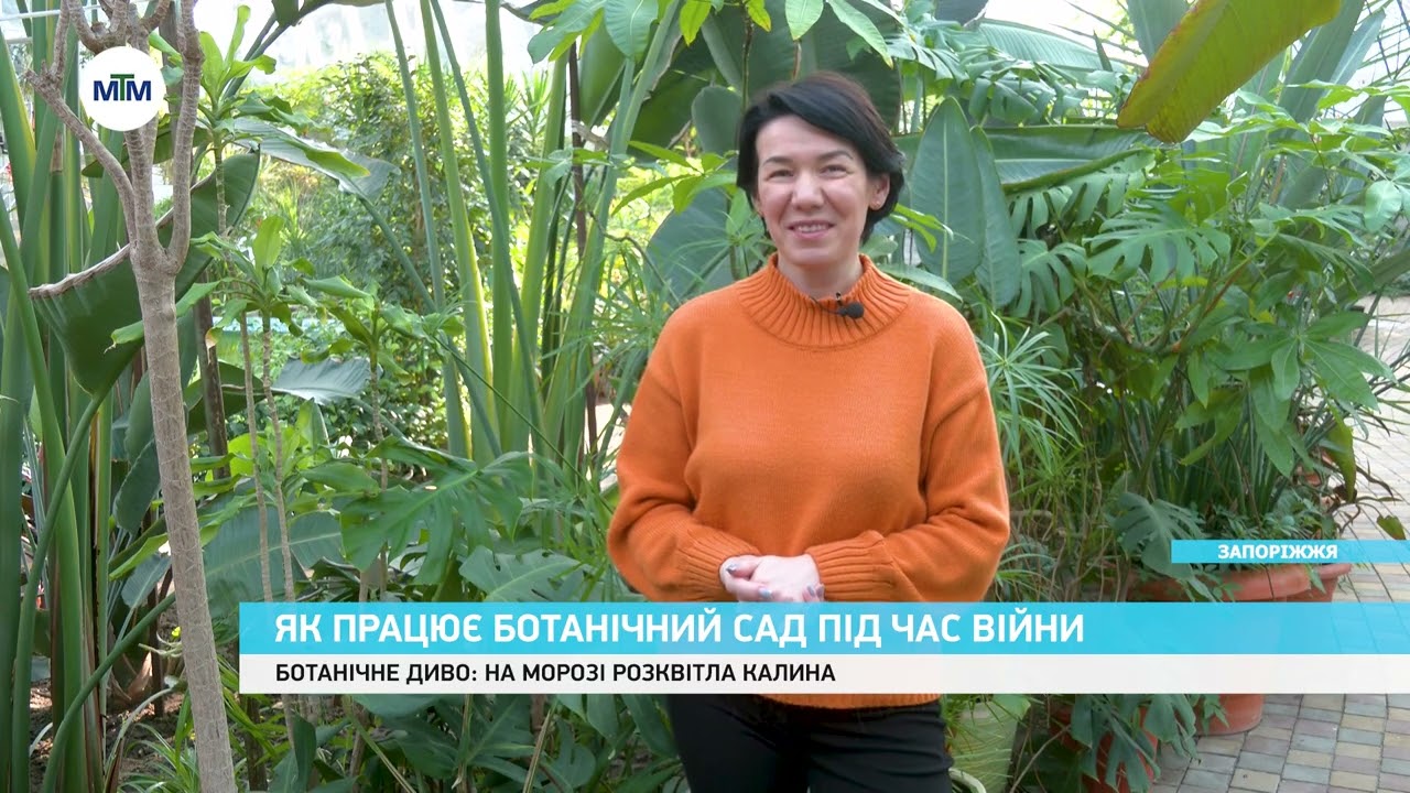 РОЗКВІТЛА КАЛИНА на морозі. Як працює Ботсад у Запоріжжі