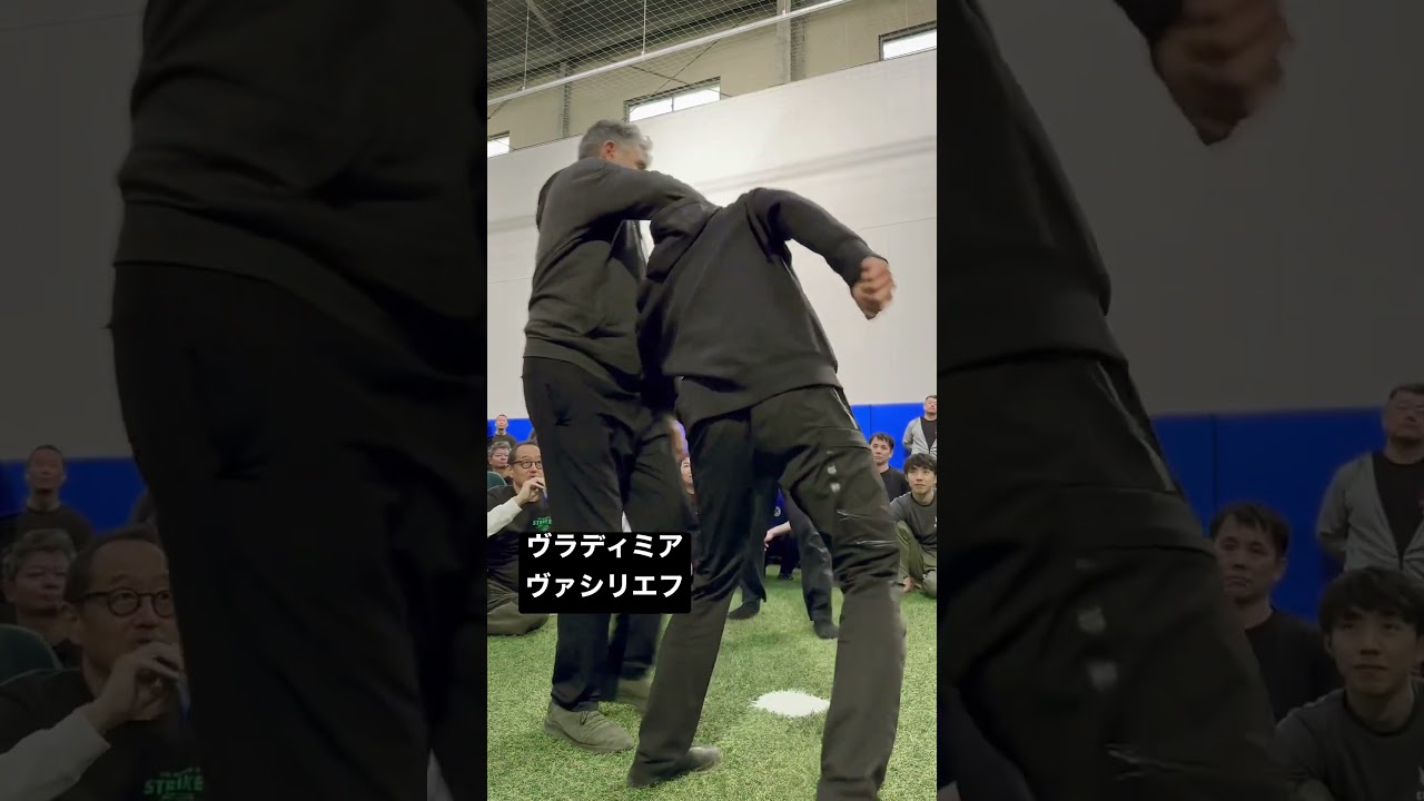 対複数のストライク Systema, beat the odds.