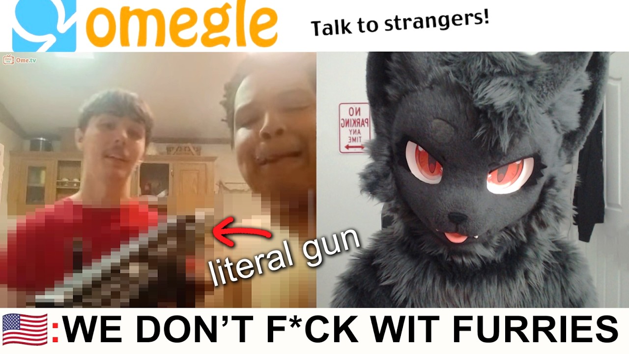 Реакция разных стран на фурри в Omegle (СНОВА)...