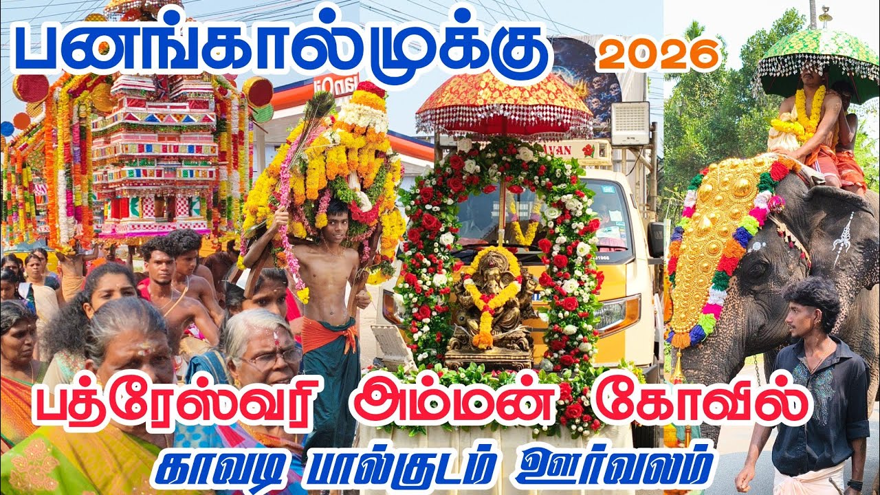 Panagkaalmukku Bhadreswari Amman Kovil பால்குடம் காவடி ஊர்வலம் | Panagkaalmukku Kavadi Oorvalam 2026