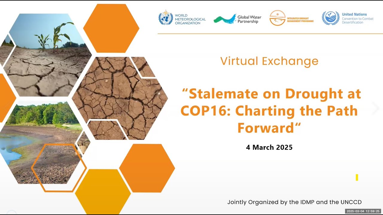Stalemate on Drought at COP16: Charting the Path Forward, Virtual Exchange