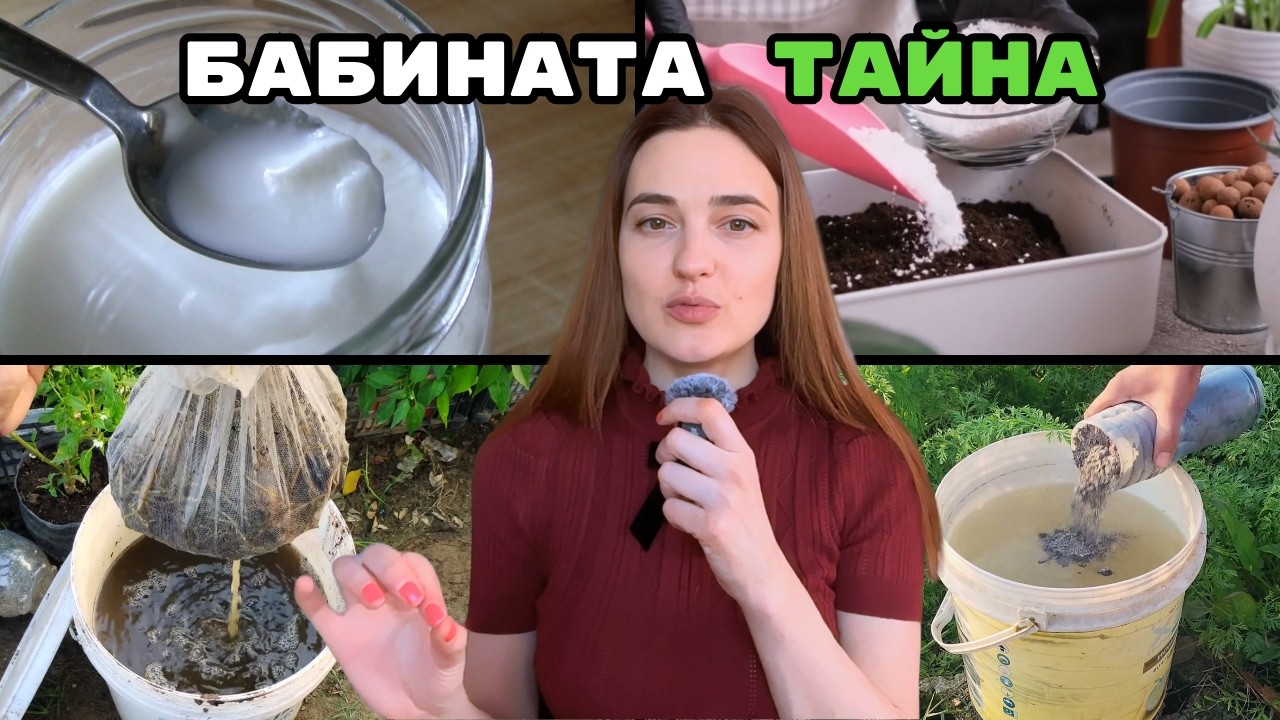 Забравената градинска мъдрост: 5 бабини лека за БУЙНИ растения