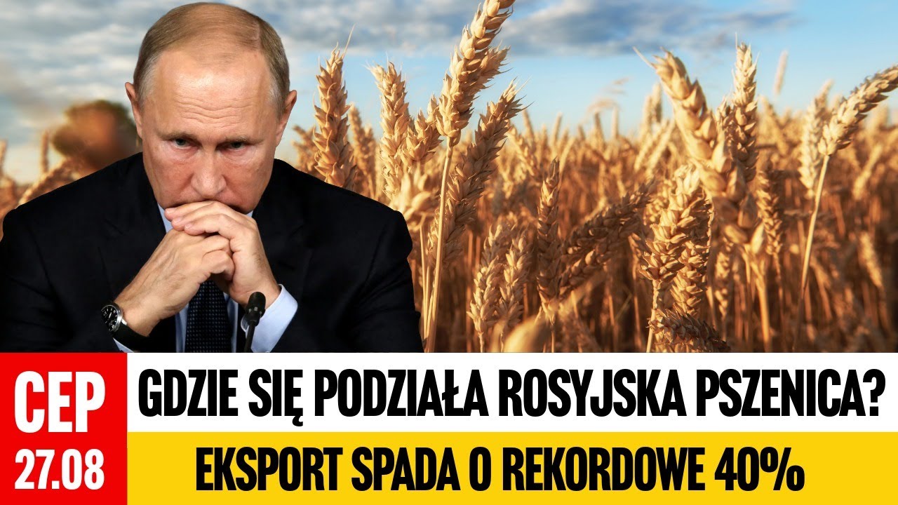 CEP - Rosjanie pr&oacute;bują wytłumaczyć spadek eksportu pszenicy o 40%. Co się dzieje?