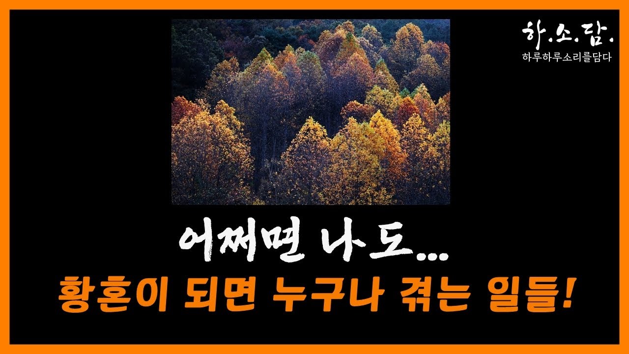 [추석 특집 클립] 명절마다 오던 시누이들도 이젠...! #하소담오디오드라마