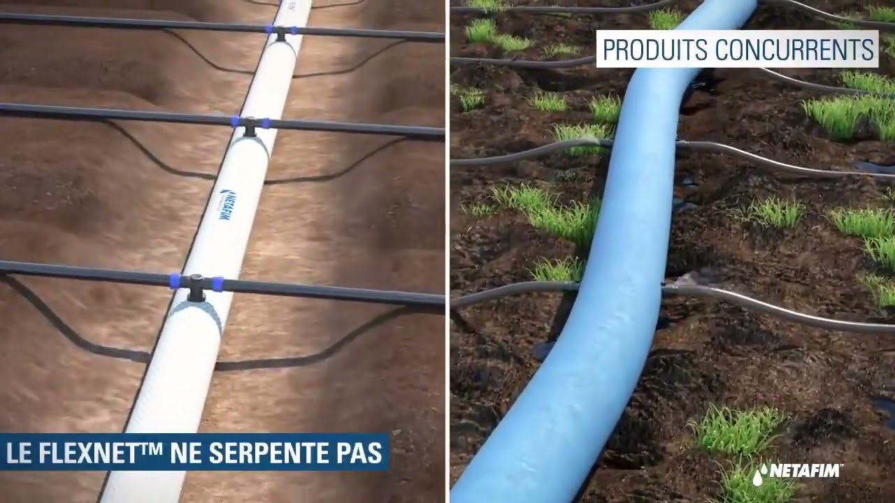 FlexNet : Solution innovante, transportable et flexible pour les porte rampes