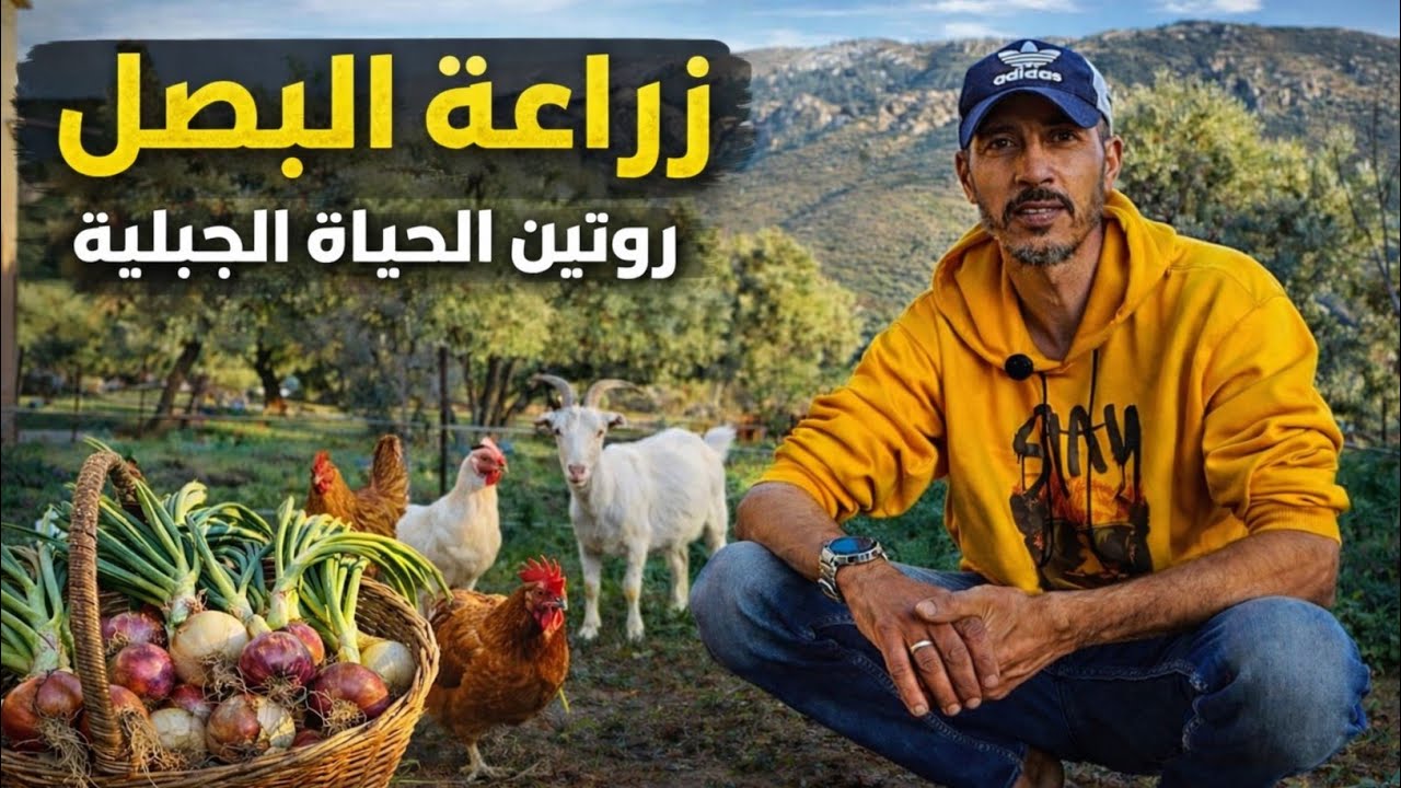 أخيراً زرعت البصل 😍 روتين الحياة الجبلية بين الدجاج والماعز