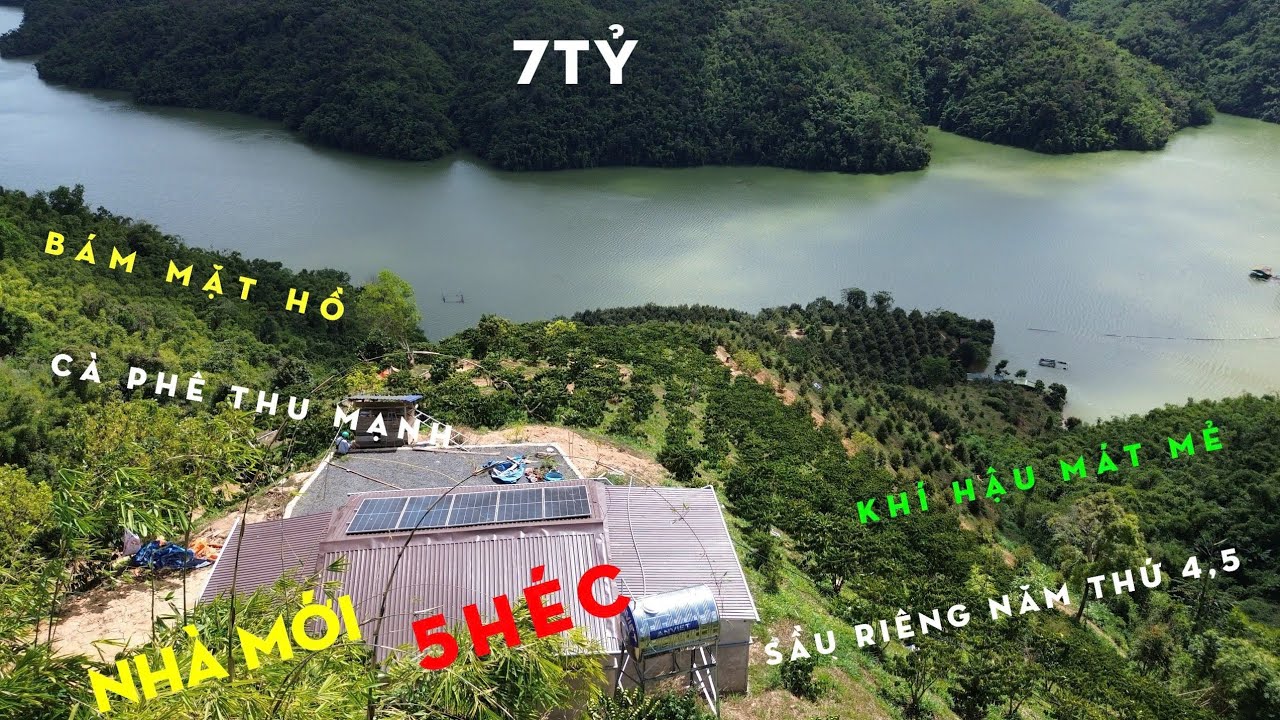 Bán  5 héc đất vườn Sầu Riêng,Cà Phê đang thu mạnh,View đẹp,Bám Hồ Hạ Lưu Tà Đùng,Mát Mẻ,giá 7 TỶ