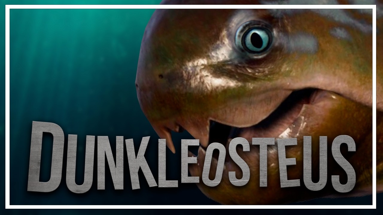 DUKLEOSTEUS: el gran depredador acorazado del Devónico