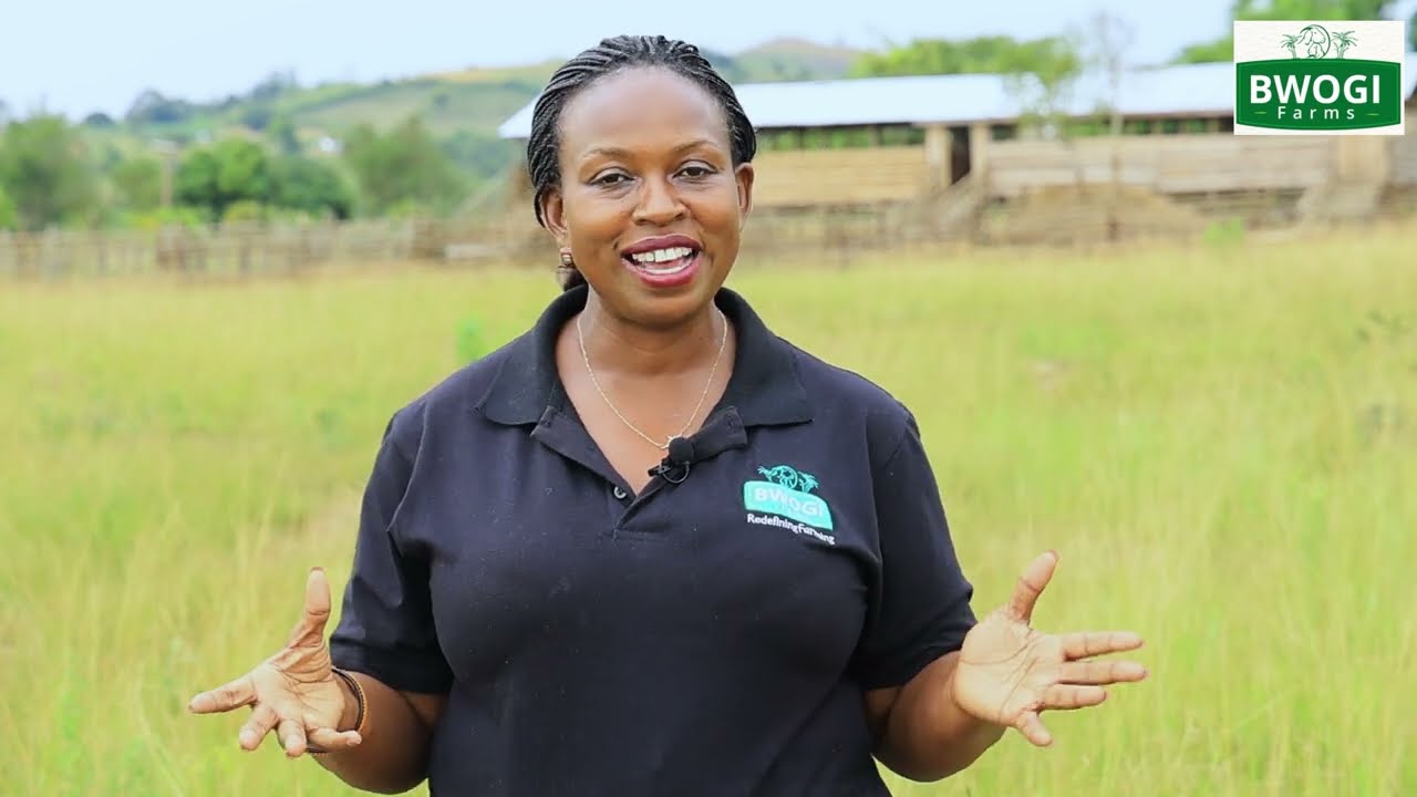 SECRETS ABOUT GOAT FARMING REVEALED