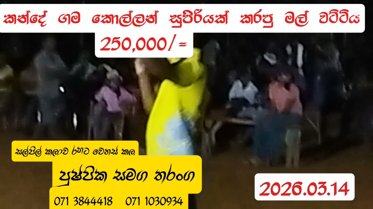 #සල්පිල #වයිරල් #මල්වට්ටිය.........                 සල්ලි උනන වචන