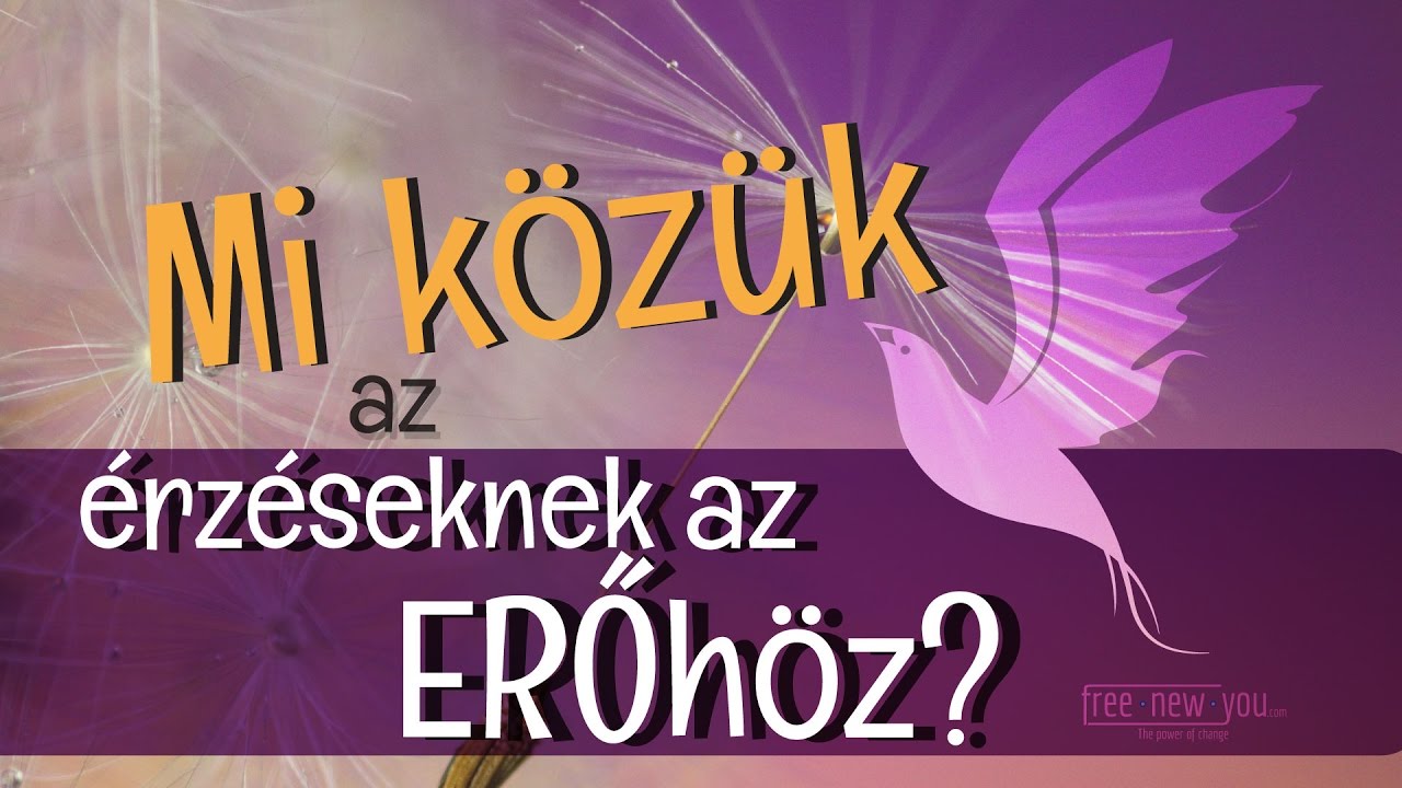 Mi közük az érzéseknek az ERŐhöz? (David R Hawkins ERŐ kontra erő könyve alapján)