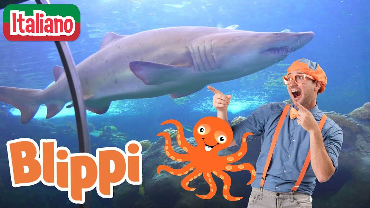 Blippi visita un acquario (Acquario Ody) | Blippi in Italiano | Video educativi per bambini