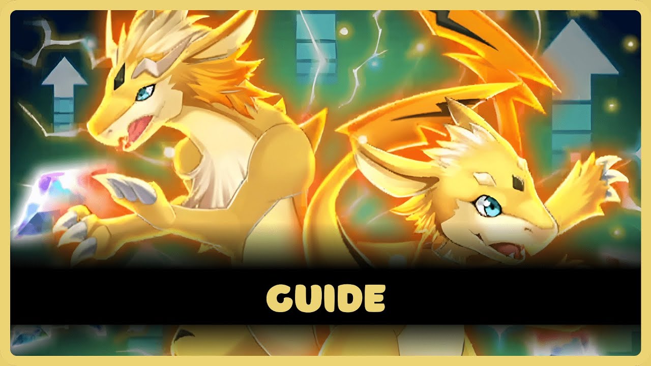 Training Dojo Stage 13 Gameplay Guide | Evertale