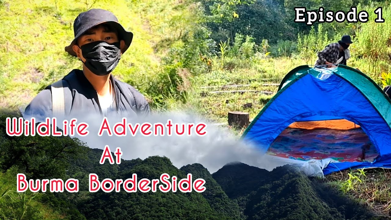 My Adventures in the Wild Forest | @themzzNaga Episode 1