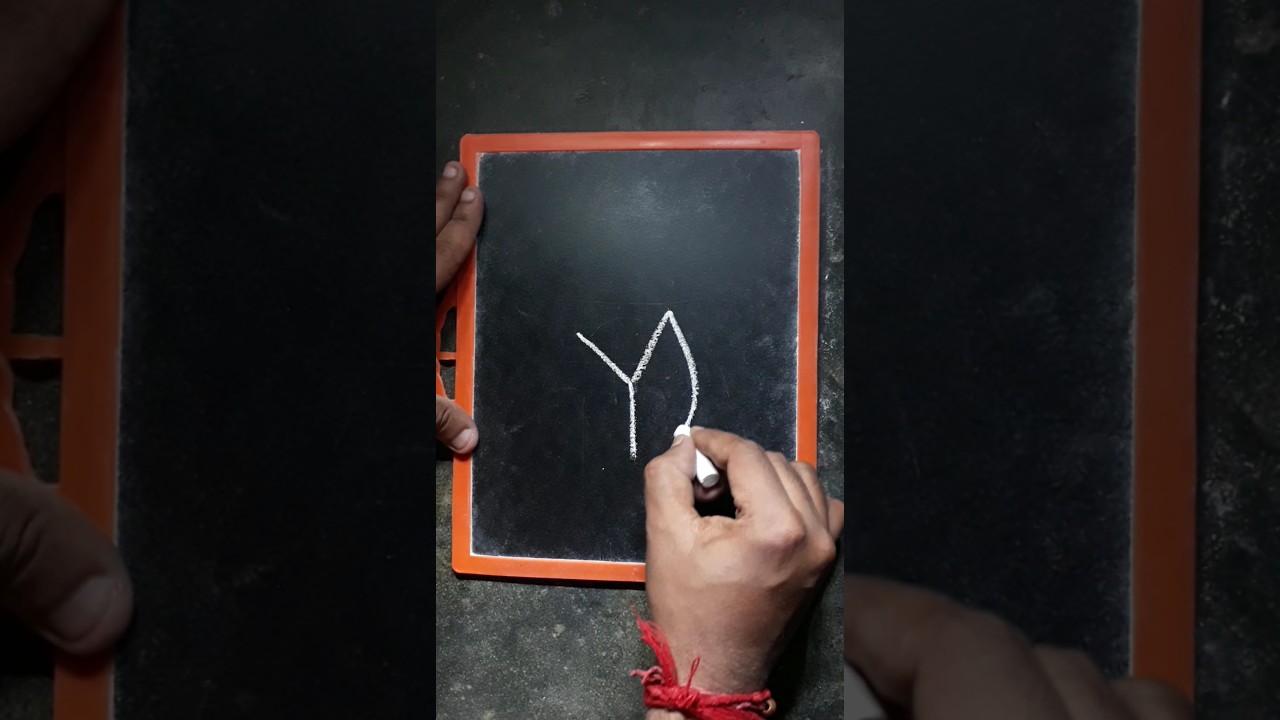How to draw Tulip 🌷 Flower with Letter Y step by step for Beginners #shorts #tulip #drawing