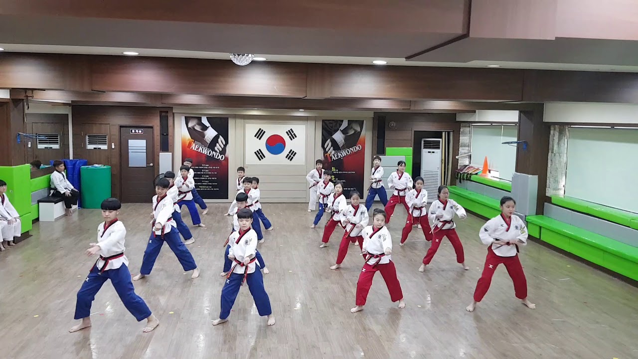 선수단 태권체조(뿜뿜)