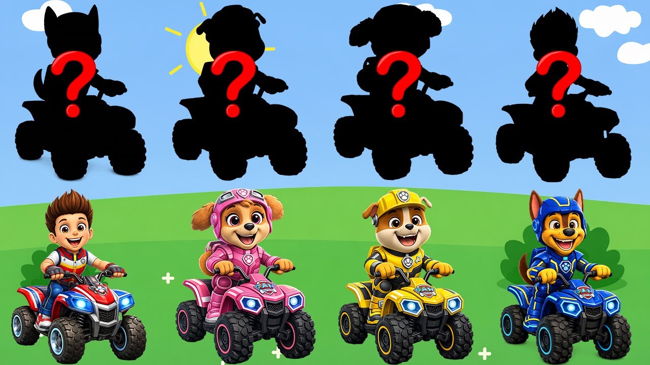 Paw Patrol and Friends Learn Kids Useful Stories for Kids Cartoon Paw Patrol P3 | Funniest Series